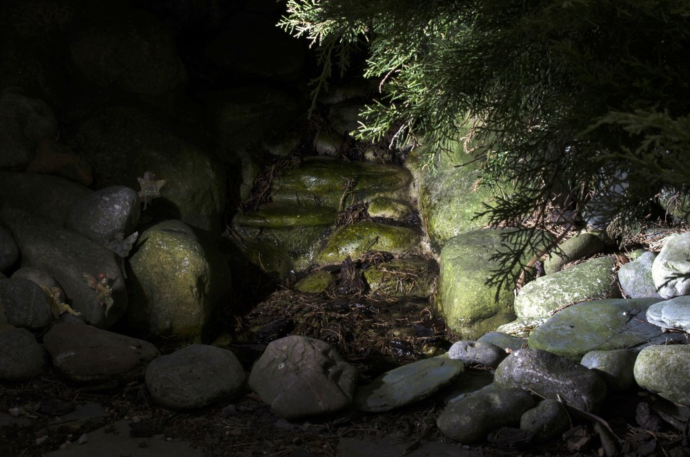 A Youth Refuses to See